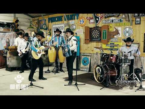 Regionarios - Ella es Morena (Live 2025) #cachorros #regionalmexicano 