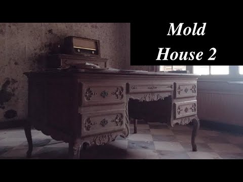 Klein verlaten huisje vol schimmel