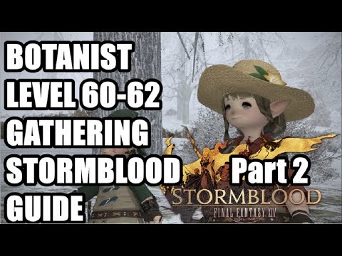 FFXIV Stormblood - Botanist Levelling 600-750K EXP Per hour AT LEAST - Collectability - Beech Branch