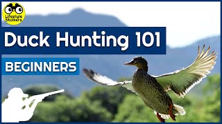 Duck Hunting 101 - All you need to know!