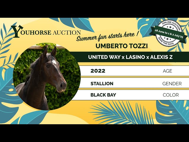 Umberto Tozzi