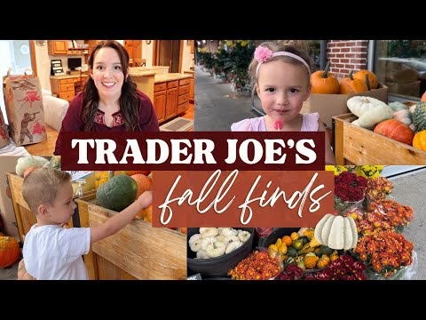 Trader Joes Fall encontra 2023 | Trader Joes Haul com preços | Trader Joe's Grocery Hauls Compre comigo