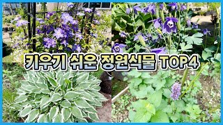키우기 쉬운 정원식물 TOP4!! 심어만 놓으면 알아서 잘 크는 예쁜 식물들!!