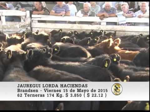 15-05-15 Venta de Hembras - Jauregui Lorda - Brandsen
