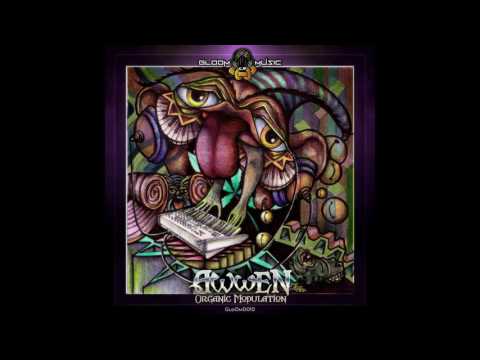 Awwen - Just An Interpretation