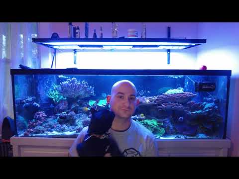 Kalkwasser dosing; The ACI Method Update