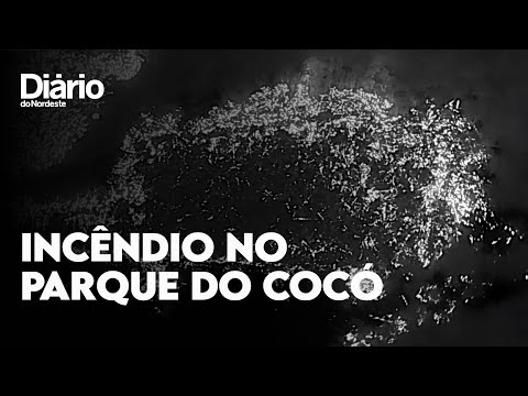 Assista