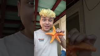 Water Growing Creature: Starfish (Update)