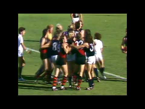 Fight between Essendon and Carlton at Windy Hill 1985 Round 6