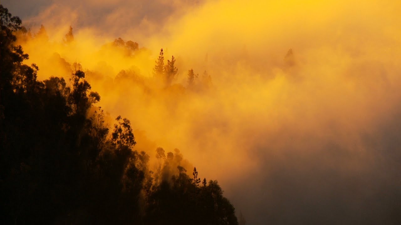 PRECE, de Fernando Pessoa com Maria Betânia