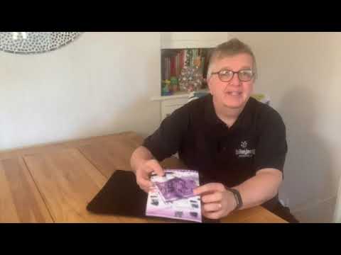 Merlins of Wakefield Second Chance