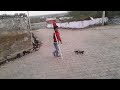लडाई हो गई Dangerous Fight Dailyvlog Vlog Mranilrajasthani