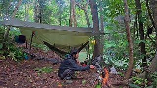 Download lagu Fishing camping cooking fish caught in the pristine Kalimantan forest mp3