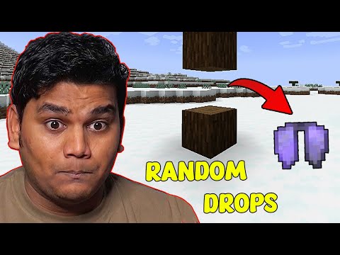 BeastBoyShub - Minecraft But Block Drops Are Random