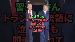 習近平さん、トランプ大統領に泣きつくも即チクられてしまうw