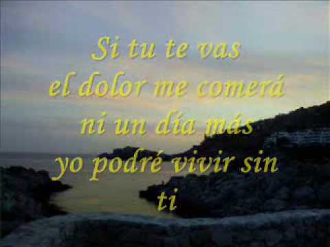 Enrique Iglesias si tu te vas LETRA