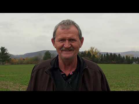 Zašto je važno pratiti plodored? - Zlatno klasje #238