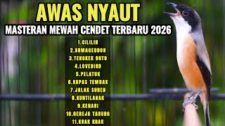 Download lagu MASTERAN BURUNG CENDET JUARA DIJAMIN LANGSUNG NYAUT DAN IKUT GACOR DENGAN SUARA INI‼️ mp3