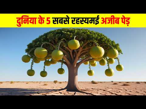 दुनिया के 5 सबसे रहस्यमई अजीब पेड़ | 5 most mysterious and strange trees in the world,