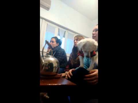 Hablando sin saber...