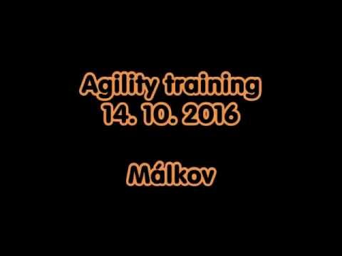 Agility training | 14. 10. 2016 | MÁLKOV