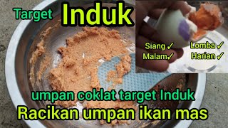 Download lagu AMPUH UNTUK TARGET INDUK,,!!!, racikan umpan ikan mas, ampuh untuk target Induk, mp3