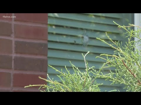 Unsolved crimes frustrate AAPI victims