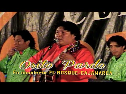 OSITO PARDO EN VIVO-(EL BOSQUE CAJAMARCA)-Official Youtube
