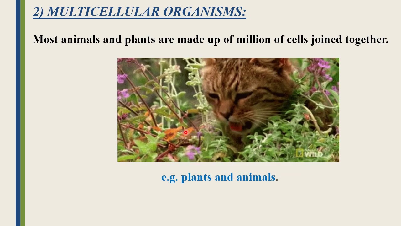 Subject Science, Grade 6, Week 5 ,Day, 2,pptx
