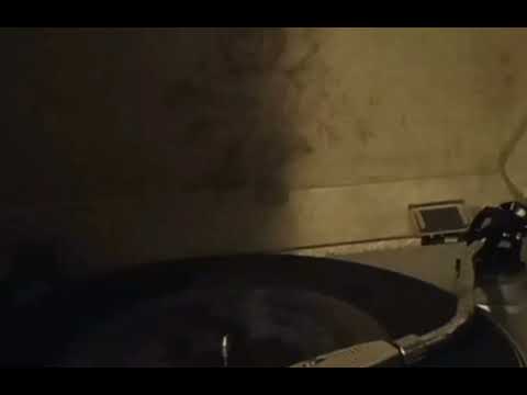 Лев Лещенко и Татьяна Анциферова  -  До свидания, Москва   1979 (звуковое письмо)