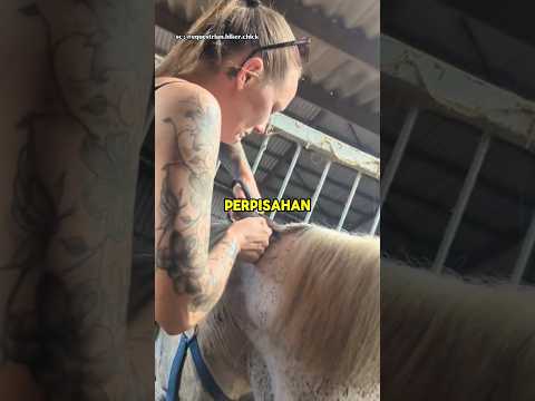 Cewek itu Membuat Kenangan Terakhir Dengan Kudanya yang Nggak Akan Dilupain