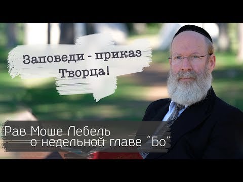 Рав Моше Лебель о недельной главе «Бо»