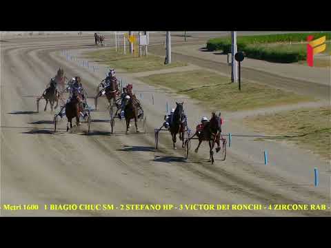 IV Corsa del 22 Maggio 2022 - Cat. G - Metri 1600 Aspiranti allievi