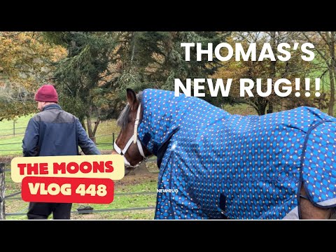 Preparing The Old Horses for Snow!! 