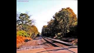 Jerry Jeff Walker   "Railroad Lady"