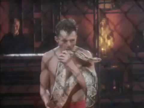 Ultimate Fight Scene | Shootfighter 1993