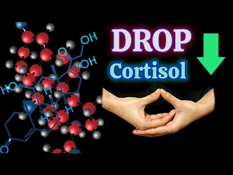 High Cortisol ? (तनाव हार्मोन) Lower It Fast With 5 Hand Mudras