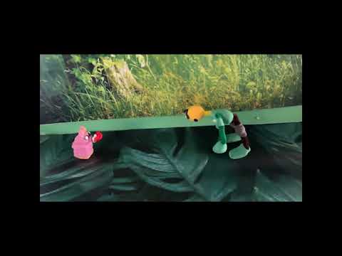 Huntus Pigus (My Weird Old Stop-motion Animation)