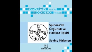 Spinoza'da Özgürlük ve Hakikat İlişkisi | Sevinç Türkmen