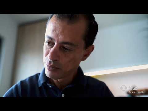 MSD Filmreihe Teil 1