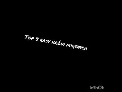 , title : 'Top 5 rasy krów mięsnych/#1'