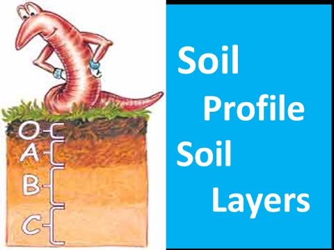 Soil Profile ,Soil Layers - Video for  Kids