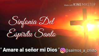 Sinfonia Del Espiritú Santo [ Amare al Señor mi Dios ]