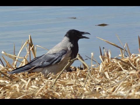 Lähin tiistai lenkille