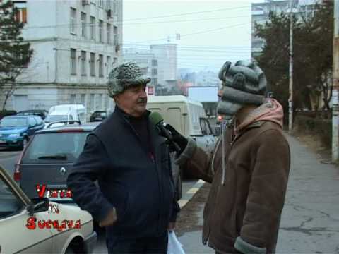 VIS 18.12.2008 - Bradul de craciun