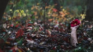 avoid. - There Is Always A Reason To Carry On(Single Stream)