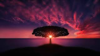 Corina Smith X Lenny Tavarez - Morir Juntos (Letra ofic.)