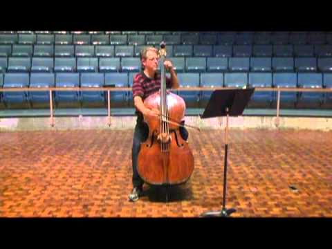 Storch-Hrabe: Etude No. 29