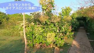 スリランカからトライアスロンに挑戦!! 番外編 HOTELの紹介
