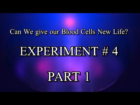 Can we give our Blood Cells New Life? | # 4 | Part 1